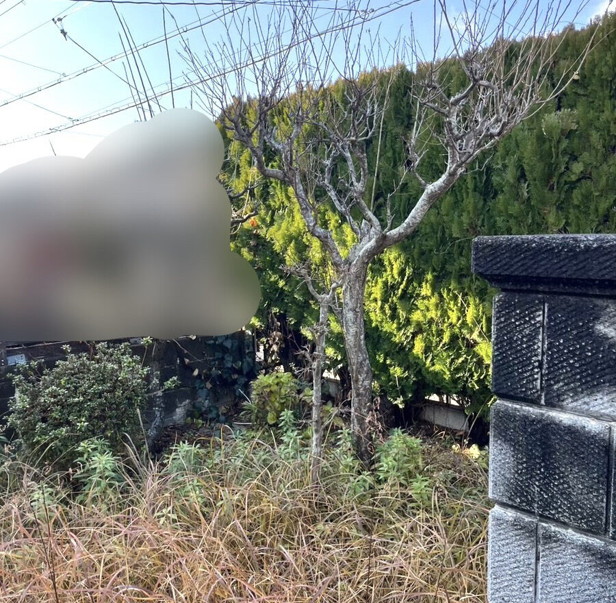作業前